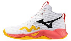 Волейбольные кроссовки Mizuno Wave Momentum Pro Mid V1GA2545-01