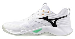 Волейбольные кроссовки Mizuno Wave Momentum Pro V1GA2540-21