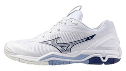 Кроссовки для гандбола Mizuno Wave Stealth 6 X1GA2430-96