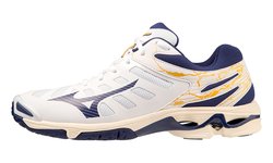Волейбольные кроссовки Mizuno Wave Voltage White V1GA2160-43