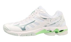 Волейбольные кроссовки Mizuno Wave Voltage (Women)  V1GC2160-37