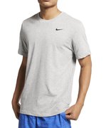 Футболка Nike Dry Tee Dfc Crew Solid AR6029-063