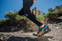 Каталог спортивных товаров и одежды Asics / Бег / Кроссовки для бега Asics / Кроссовки для бездорожья и пересеченной местности Asics